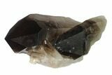 Dark Smoky Quartz Crystal - Brazil #137831-1